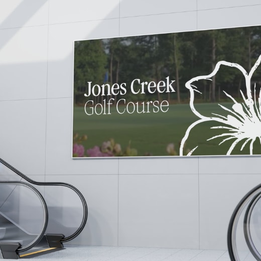 pink flower on blue sky